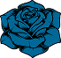 rose bleu